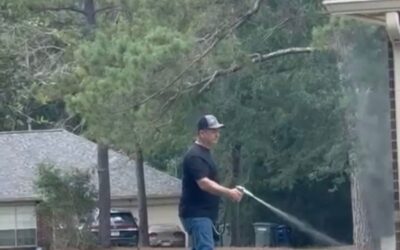 Why Businesses in Texas Need a Regular Pest Control Plan