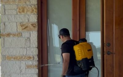 Why Businesses in Texas Need a Regular Pest Control Plan